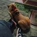 Joel Ortegon - Facebook