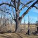 Joe Osterhout - Facebook