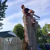 Joe Osterhout - @joeosterhout - TikTok