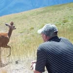 Joe Ostrander - @jostrander36 - Instagram