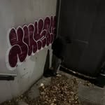 Joe Oswald - @joe_0swald - Instagram