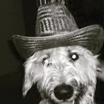 Joe oswald - @joeoswald47 - Instagram