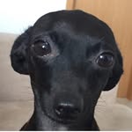 Oswald Joe - @oswald.joe - Instagram