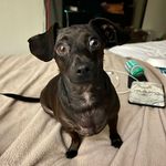 Joe Ott-Brown - @funtimeotter_ - Instagram