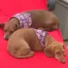 joeott - @joe.ott - TikTok