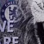 joe parkes - @parkes_joe - Instagram