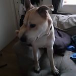 joe parkes - @joep2708 - Instagram