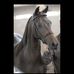 Joseph Partain - Facebook