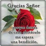 Joe Cardenas Partida - @cardenas_360 - Instagram