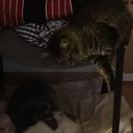 Joe Partridge - @joe.partridge.96 - Instagram