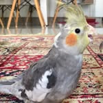 @joe_passaro - Instagram