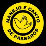 Manejo e Canto de Pássaros - @manejoecantodepassaros1 - Instagram