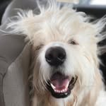 Jacob Joe Paterno Owen - @jacobjoepaterno - Instagram