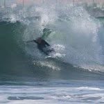 Joe Paterno - @joepaterno101 - Instagram