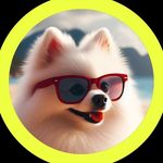 Joe Patrick🐾 - @joee.spitz - Instagram