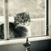 joepatti423 - @joepatti423 - TikTok