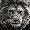 JoePaul - @joepaul30 - TikTok