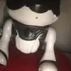 Joe Paulson - @joe.paulson0 - TikTok