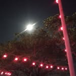 Joe Pearl - @starpearljam68 - Instagram