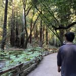 Joe Pearl - @joepearl0 - Instagram