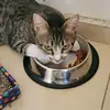 joepeeer - @joepeeer - TikTok