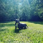 Joe Petes - @joe.petes - Instagram