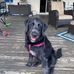 Joe Petrick - Facebook