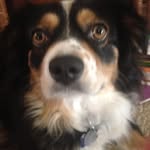 Bobby Joe (Peyton) - @ultimate_potato_god - Instagram
