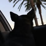 Joe Pierson - @_calmhead - Instagram