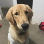 @joe_pilgrim - Instagram