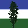 pine joe - @joe.pine.44 - TikTok