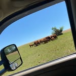 Joe Pinkston - @joepinkston4 - Instagram