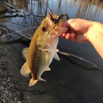 Joe pinkston - @ultimatebassin - Instagram