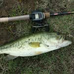 joe.pinkston1 - @freshwater_fishing14 - Instagram