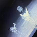@joepinkston8 - Instagram
