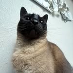 Joe - @63_joe.pipitone - Instagram