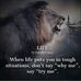 Joe Piscitelli - Facebook