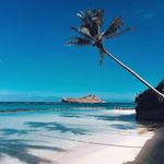 Joe Piscitelli - @joepiscitellii - Instagram
