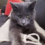 Joe Plummer - @plummer2673 - Instagram