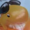 Joey Poff368 - @joeypoff368 - TikTok