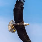 Joe Prater - Facebook