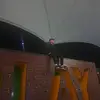 Olliej - @joeprichard - TikTok