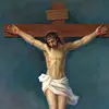 Joseph Priester - @joseph.priester60 - TikTok