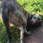 Joe Probst - @probstjl - Instagram