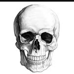 Joe Proto - @protonx5 - Instagram