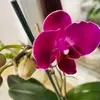 proudjoe2 - @proudjoe2 - TikTok