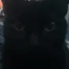 JoePulling12 - @mrpull08 - TikTok