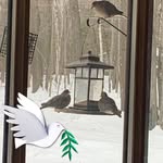 Joe Quade - @qjoe6668 - Instagram
