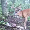 Joe Raber - @joe.raber - TikTok