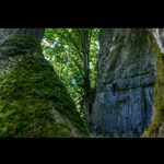 Joe Rackley - @joerackley_ - Instagram